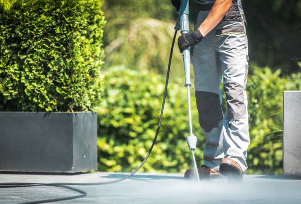 Best Residential Pressure Washing in Dane, WI