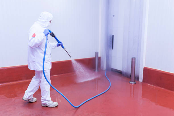 Best Sidewalk and Walkway Pressure Cleaning in Dane, WI