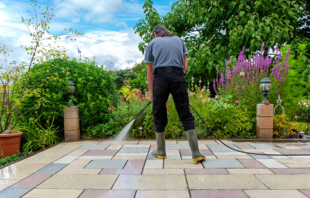 Best Driveway Cleaning and Restoration in Dane, WI