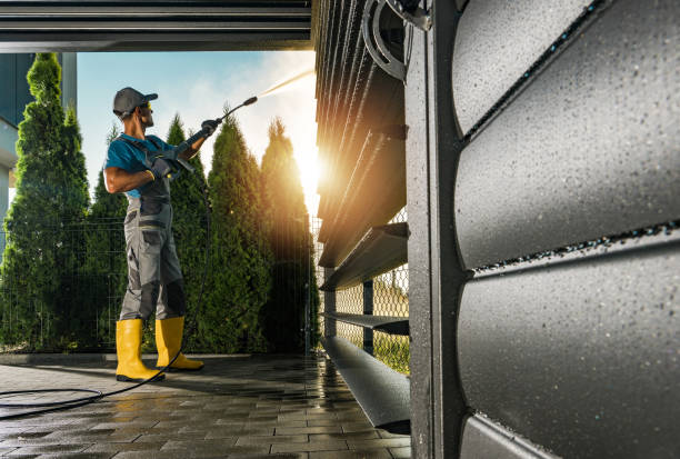 Best Roof Cleaning and Mildew Removal in Dane, WI